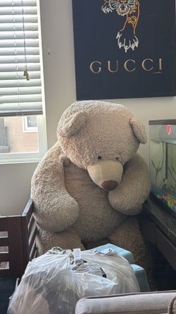 Big Costco bear
