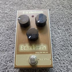 Guitar pedal Echobrain analog delay