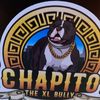 Chapo