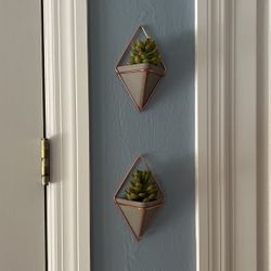 Succulent Wall Decor 