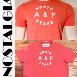 vintage Y2K Abercrombie&Fitch"North A&F Peaks"distressed-T shirt SZ LARGE Muscle