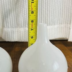 Two White Vases 