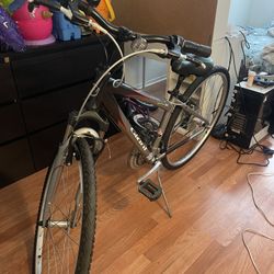 Giant Cypress DX Hybrid Bike