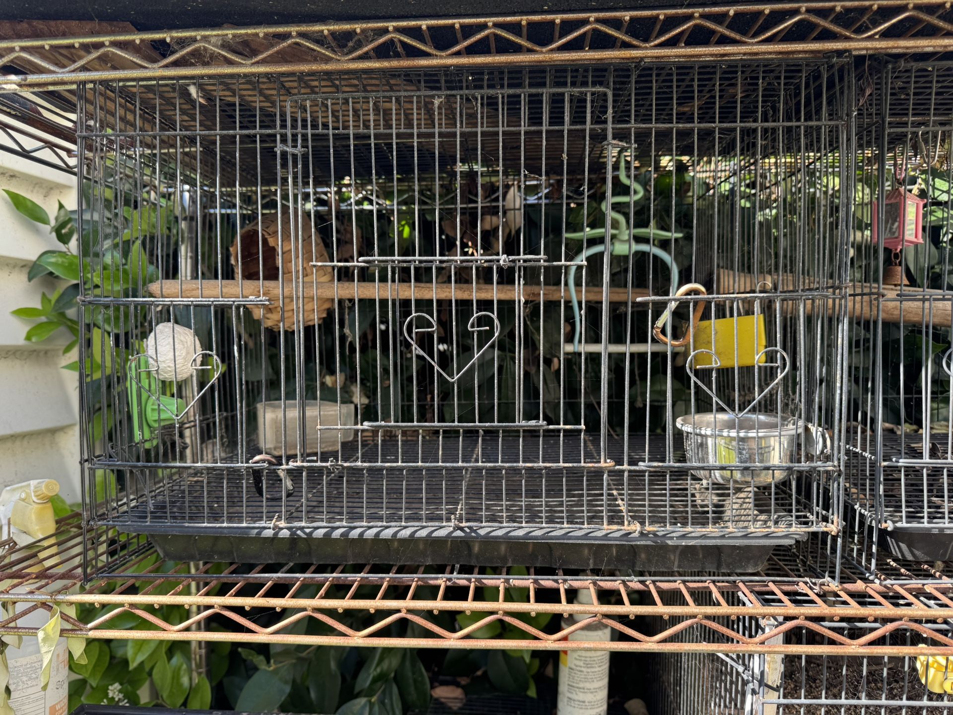 Bird Cage.