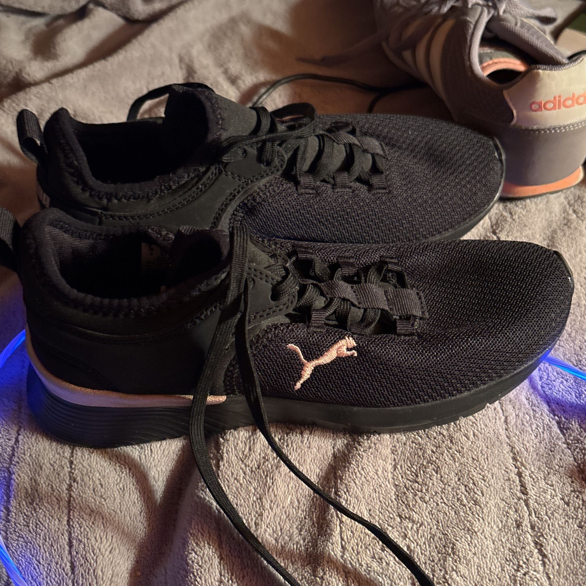 Puma