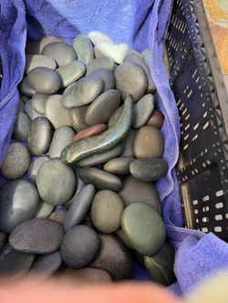 Rocks massage steam heat cold