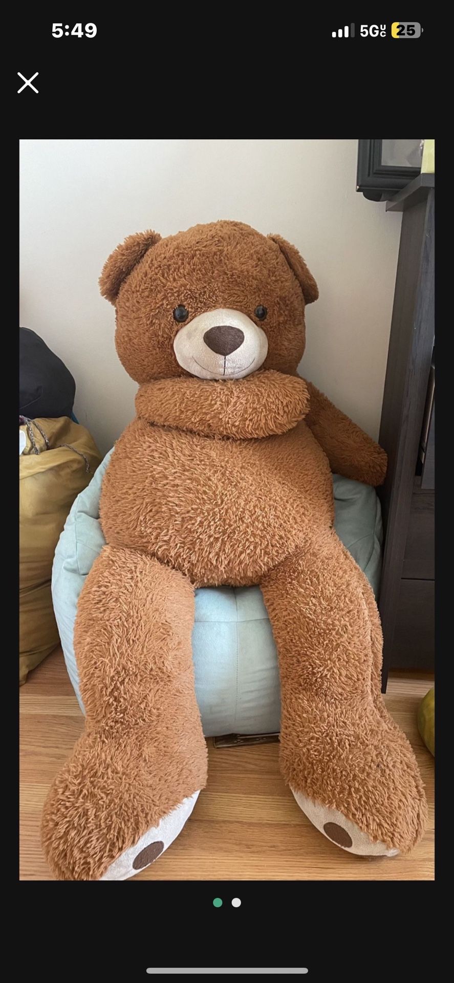 Giant Teddy