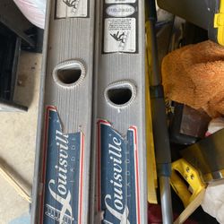 Heavy Duty 40 Foot Ladder.