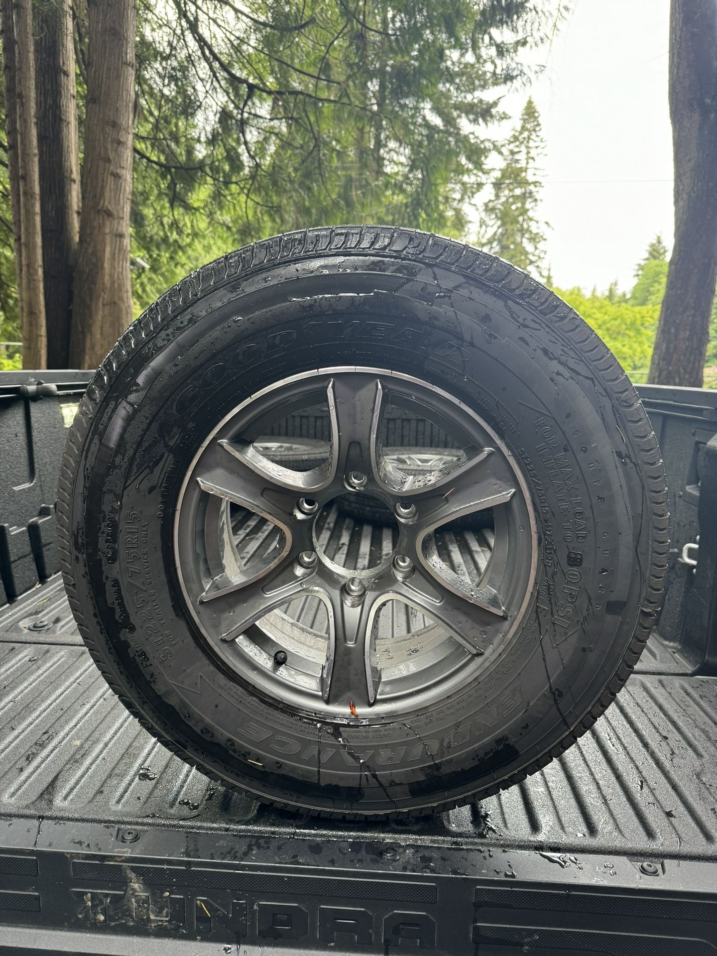 2024 Goodyear Endurance