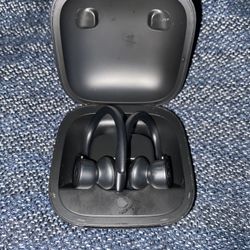 Beats Powerbeats Pro Wireless Earbuds