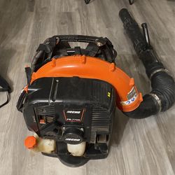 Echo Backpack Blower 