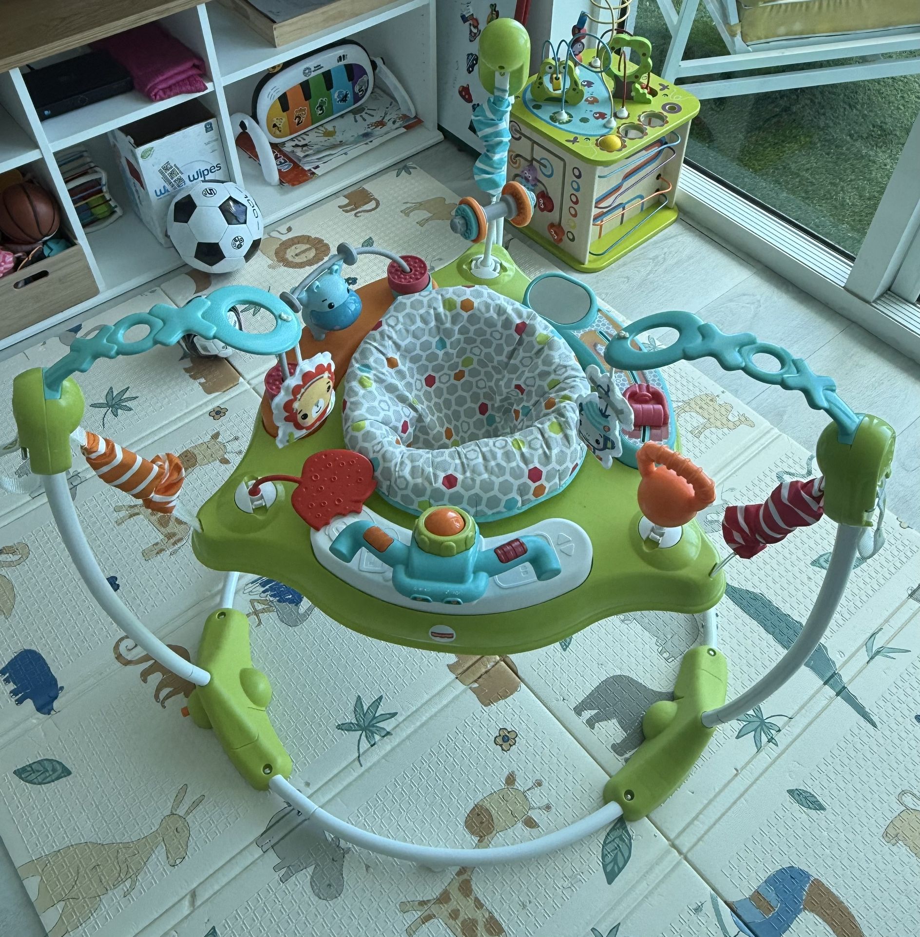 Fisher-Price Baby Bouncer | Gym Theme!