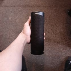 Speaker