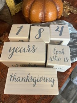 6 Piece Milestone Blocks