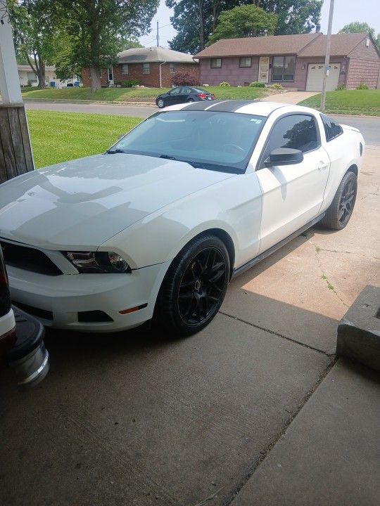 2010 Ford Mustang