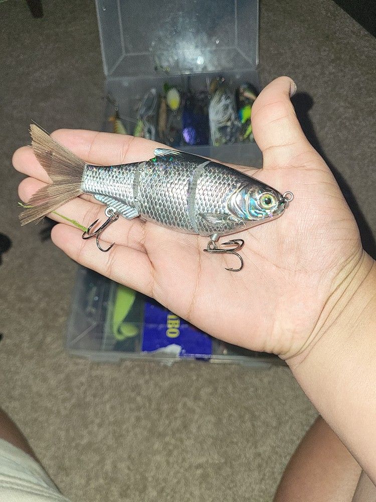 Fishing Lure And Spinning Reel