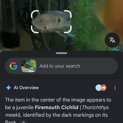 Fish tank PICK UP ONLY IN GARDEN GROVE