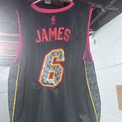 LeBron James Miami Heat jersey Limited edition