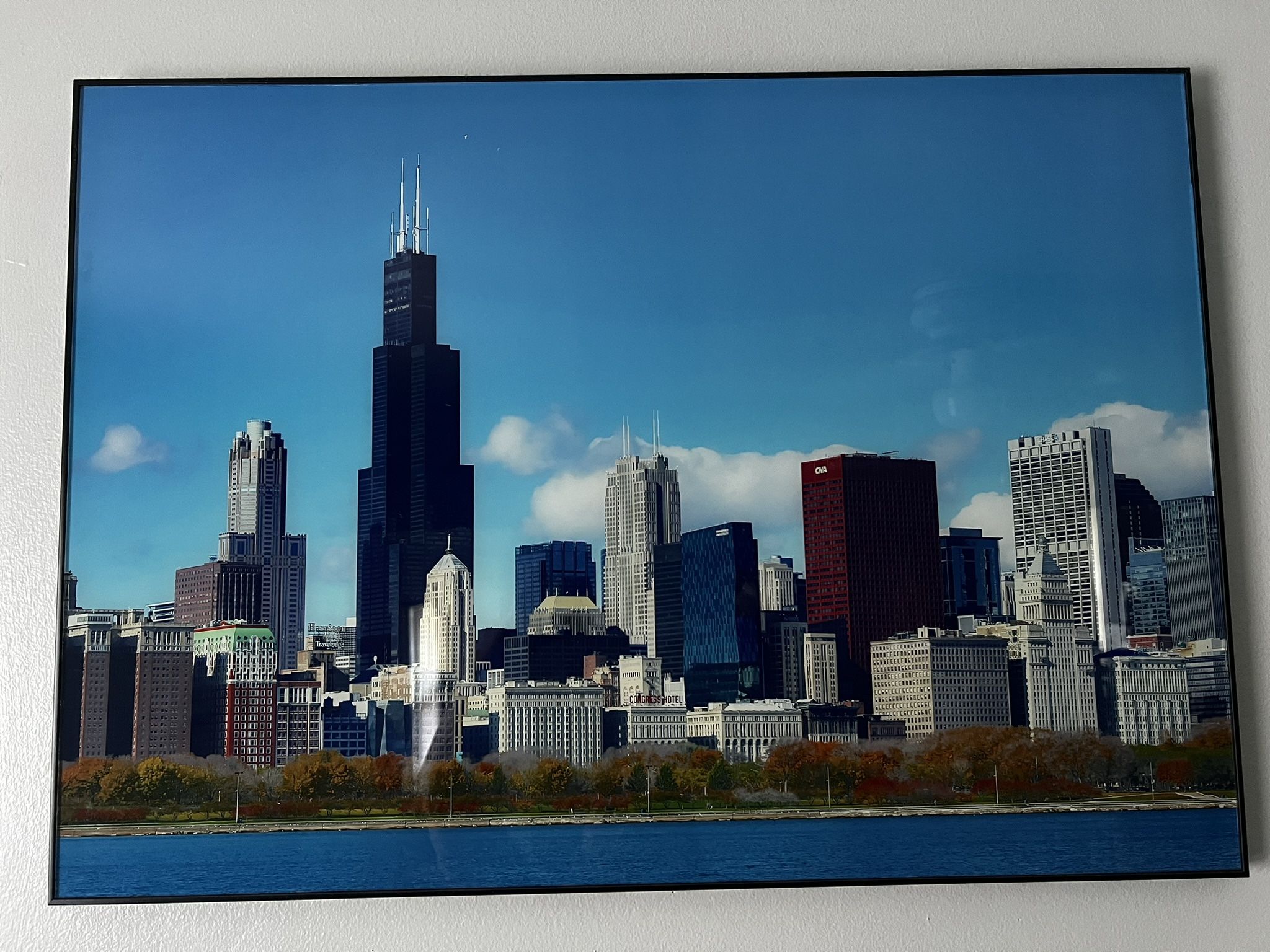 Chicago Portraits