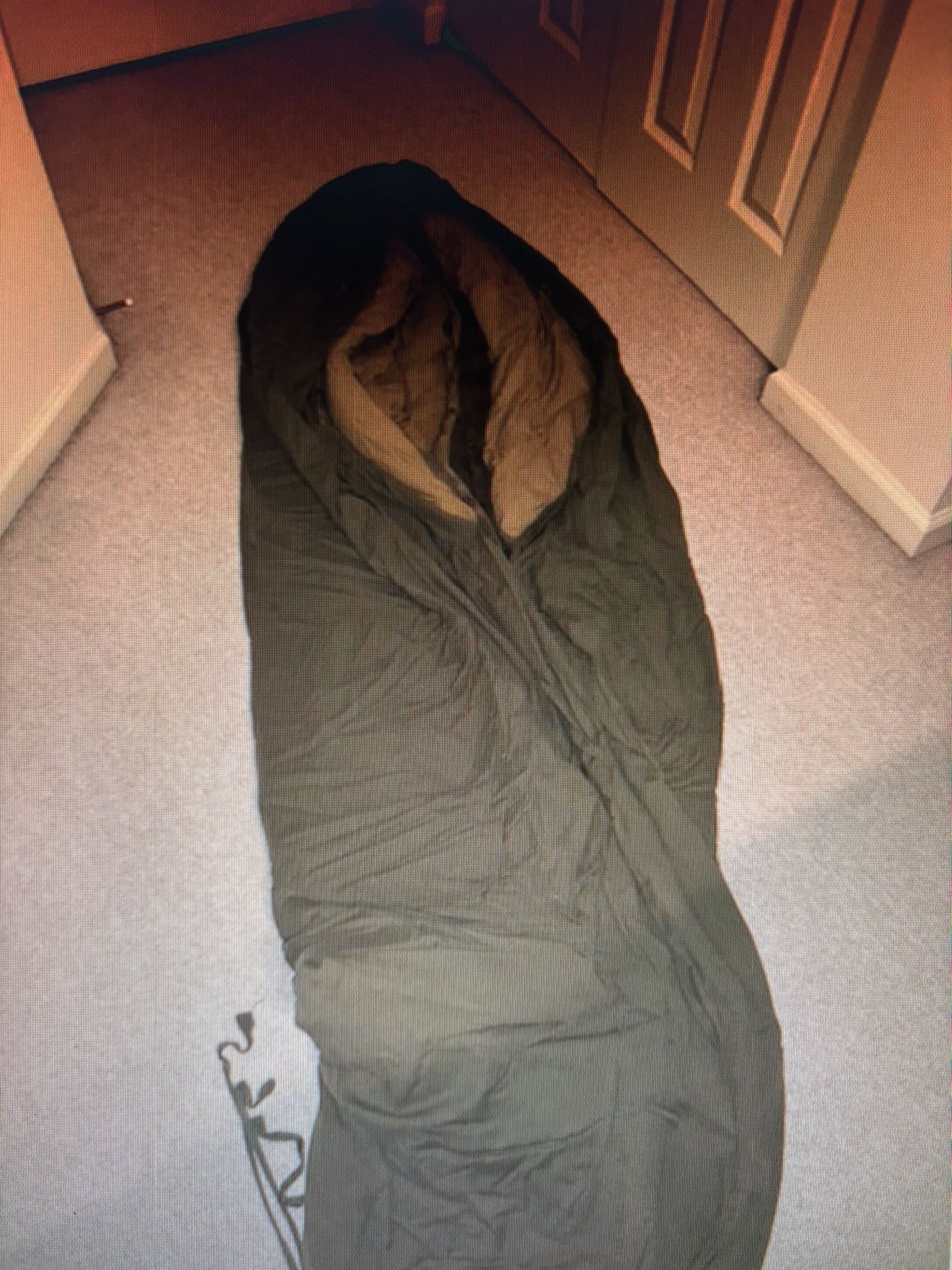 US Army Sleeping Bag 