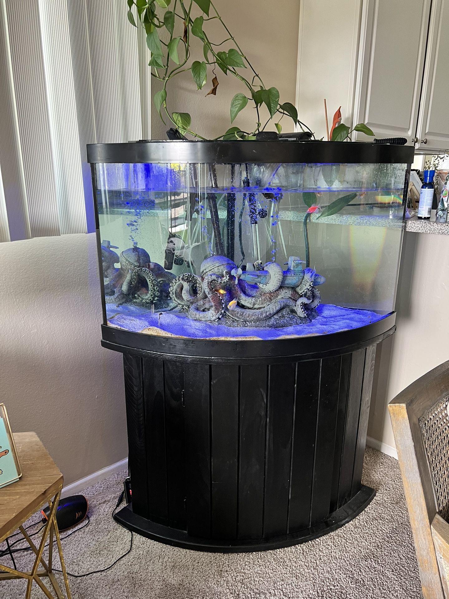 Large Fish Tank With Accessories