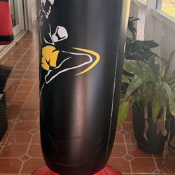 Punching Bag and Standing Air Punch