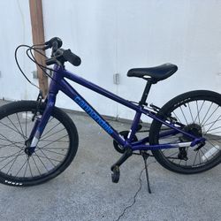 Cannondale Kids Mountain Bike
