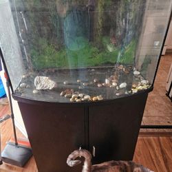 Top Fin Bowl Aquarium Starter Kit 36 Gallon Along With Stand And Filter