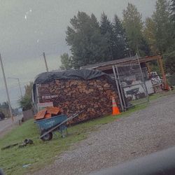 Firewood For Sale 