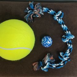 Big Dog Set Pick Up In Baldwin