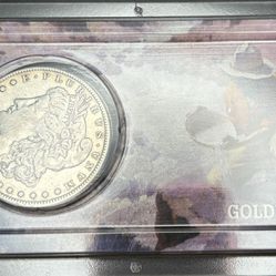 1885 Morgan silver Dollar Collection 