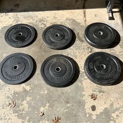 Bumper Plates + 7 Foot Barbell 
