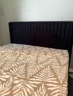 black velvet bed frame