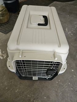 Cat Airline Approved Kennel, Hard Carrier