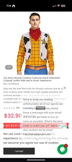 Men's Woody Costume