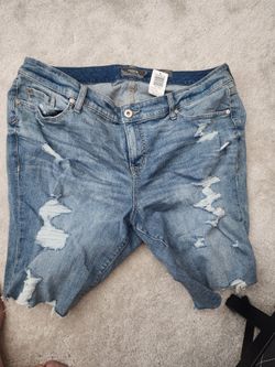 Torrid Shorts