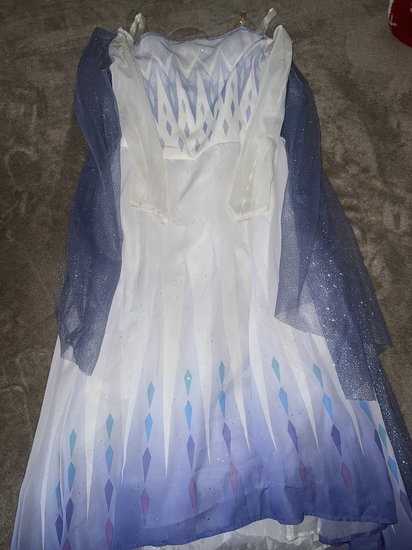 Frozen Costume