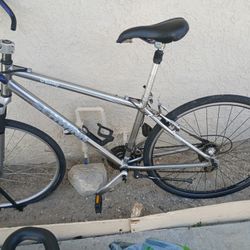 Schwinn Traileay