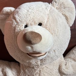 Giant Huggable Teddy Bear