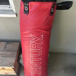 Century 100lb heavy punching bag