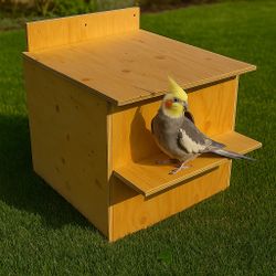 Bird nest / Nido Para Aves 