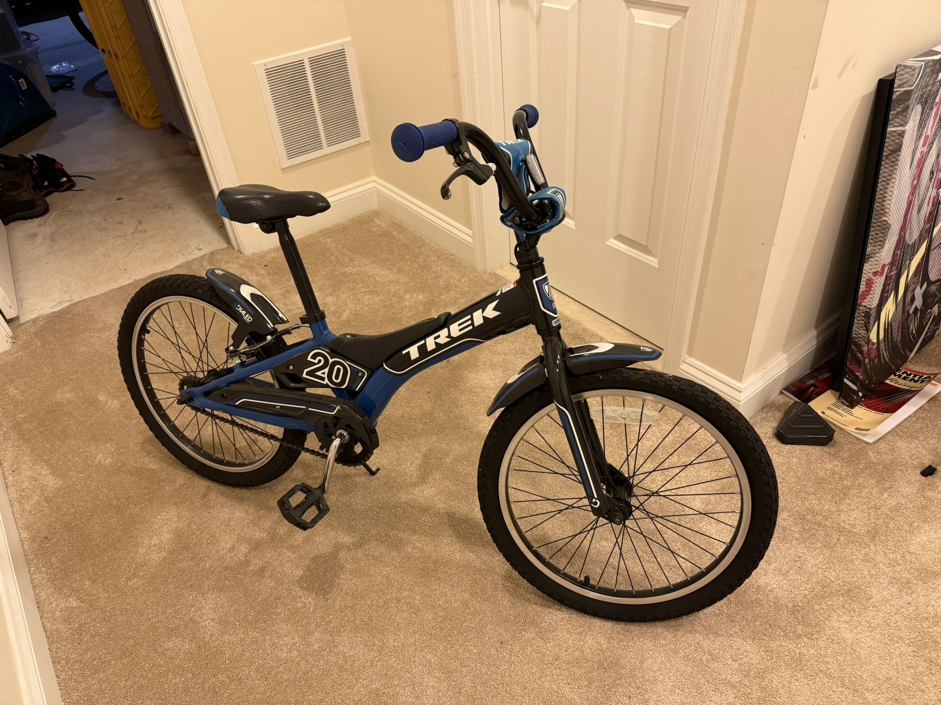 Trek Bike 20”
