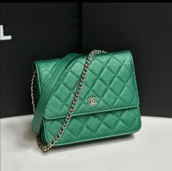 Real Chanel 18s woc