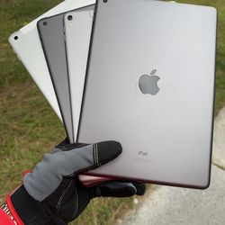 iPads 5 / 6 / 8 / Pro