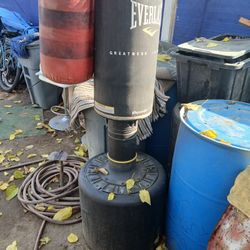 One Hanging Everlast Punching Bag One Standing Everlast Punching Bag