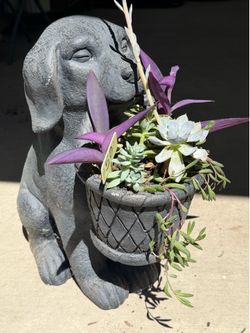 Dog planter