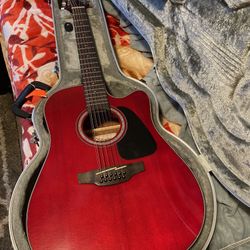 Takemine Guitar, Brand New