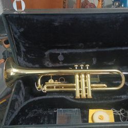 Beautiful Trumpet 