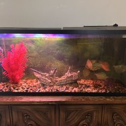 55-gallon Fish Tank With All Equipment Included