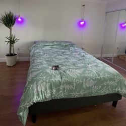 Queen Bed (mattress Included If Needed)
